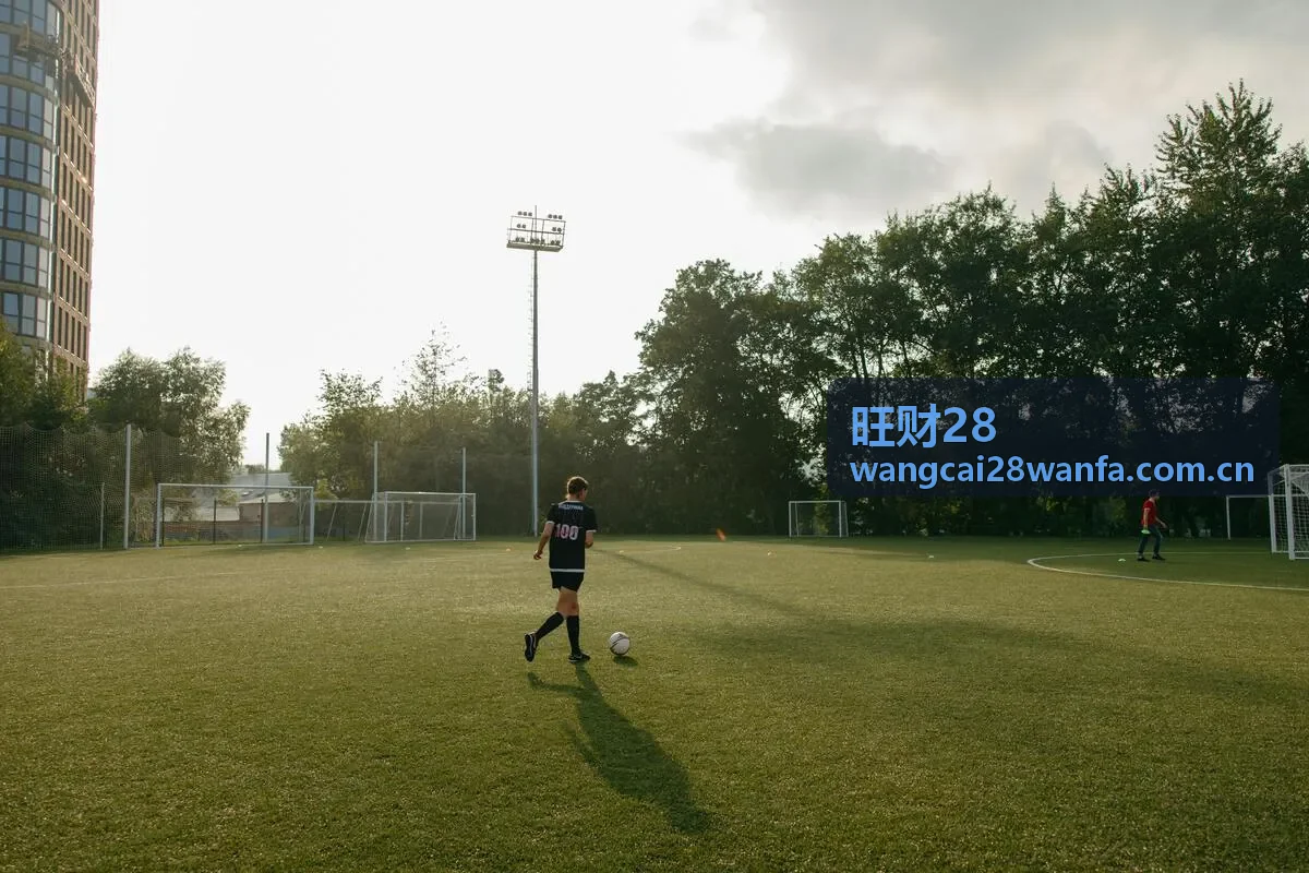 旺财28数据分析